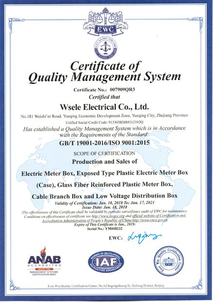 中国 WSELE ELECTRIC CO.,LTD. 認証